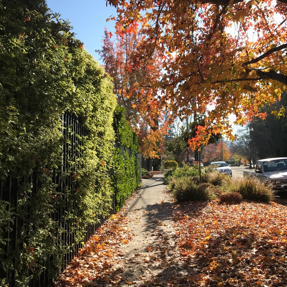 Meet your Posher, Victoria